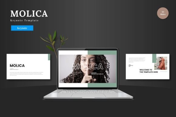 Molica - Keynote Template: A Versatile Tool for Professional and Creative Workflows